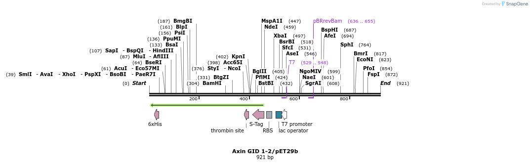 22781_map