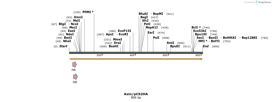 22782_map