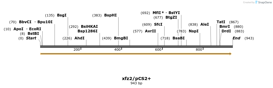 22783_map