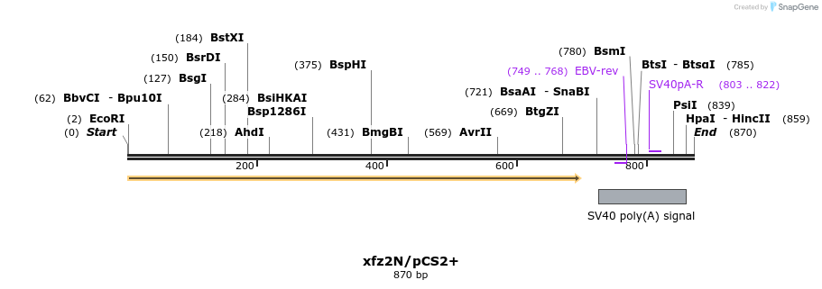 22784_map
