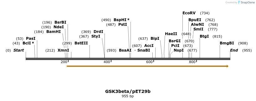 22786_map