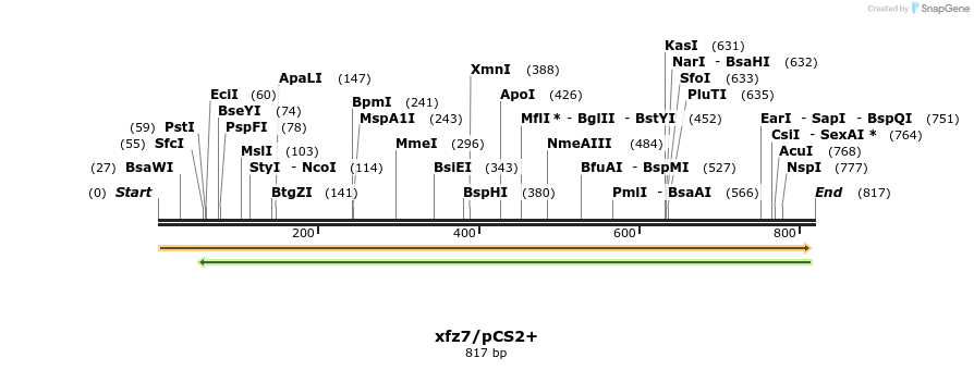 22790_map