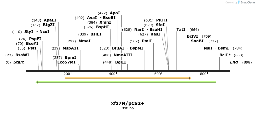 22791_map