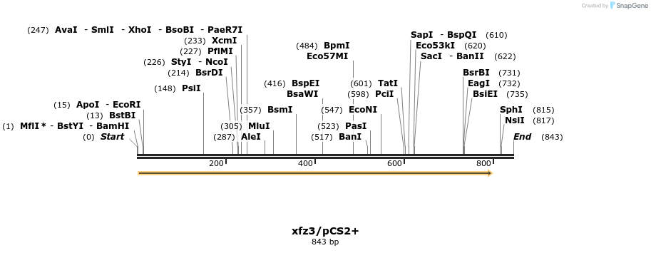 22792_map
