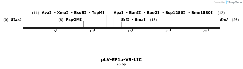 227936_map