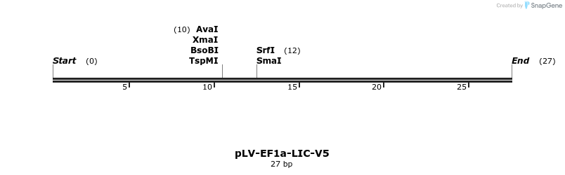 227937_map