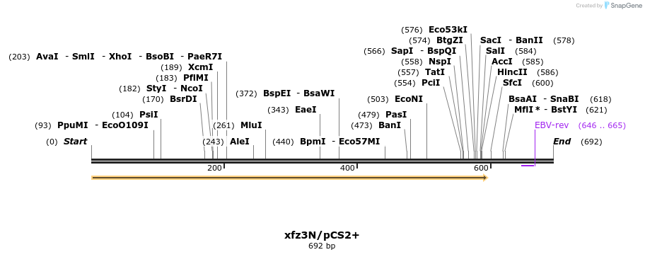 22794_map