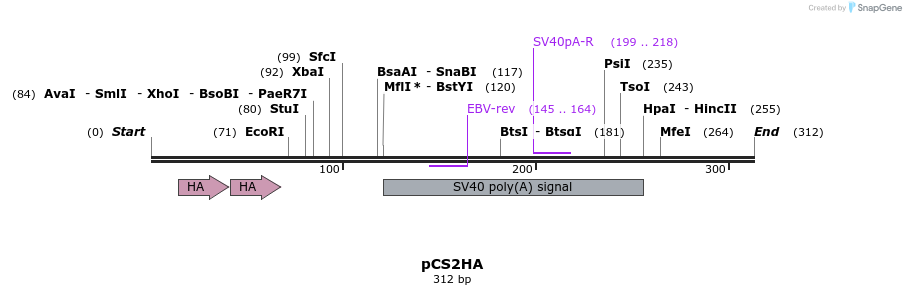 22795_map