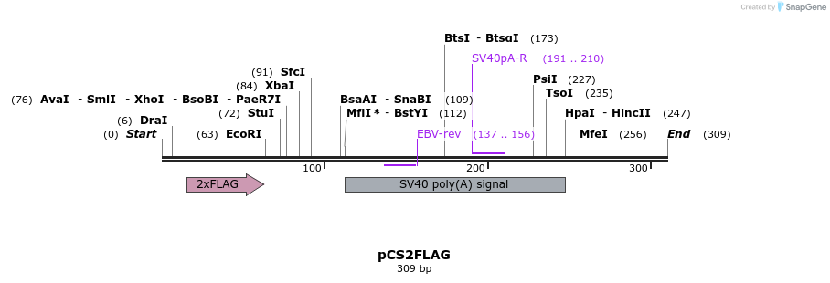 22796_map