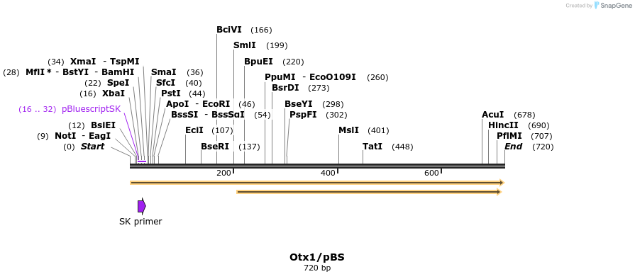 22797_map