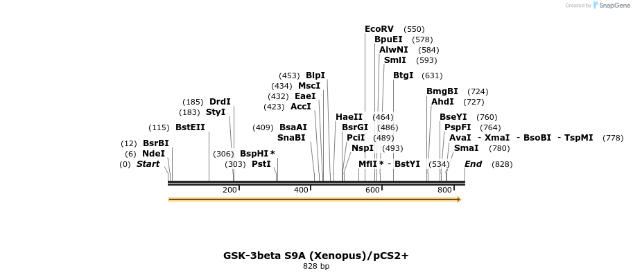 22798_map