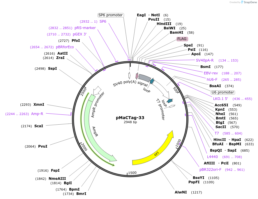 227997_map