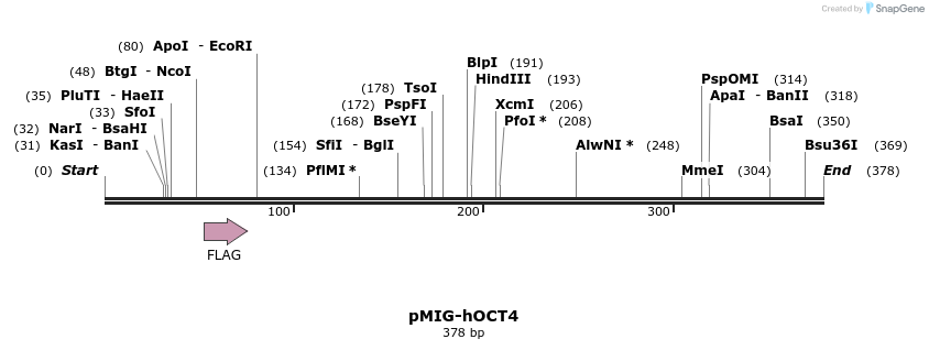 22801_map