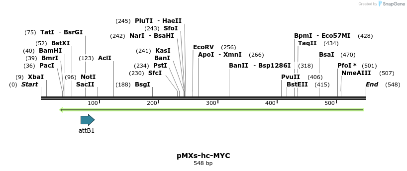 22802_map
