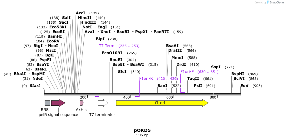 22804_map