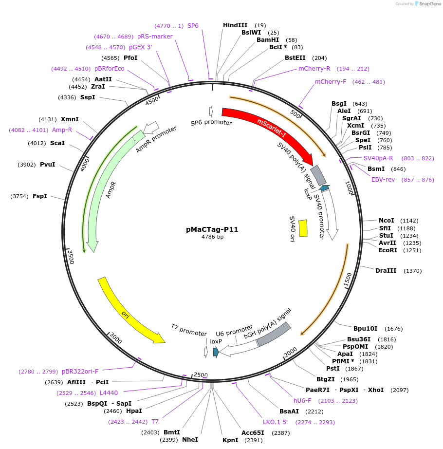 228052_map