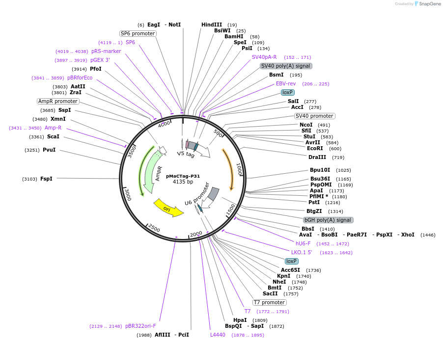 228080_map