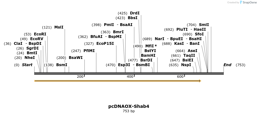 22809_map