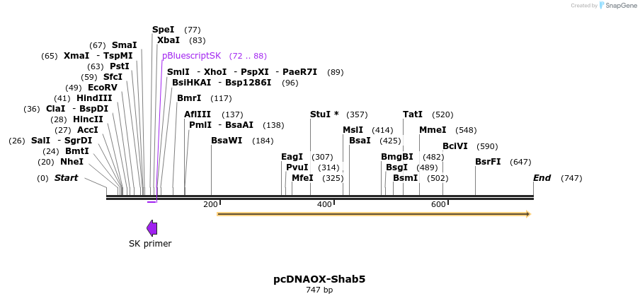 22810_map