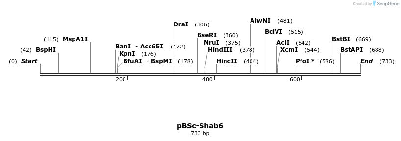 22811_map