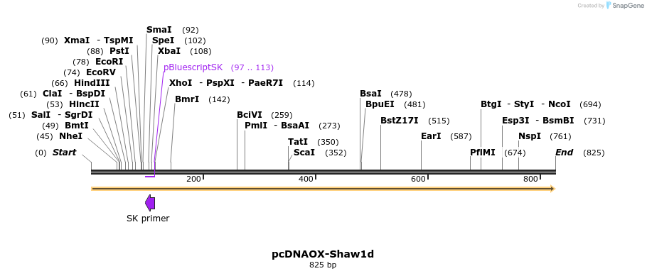 22813_map