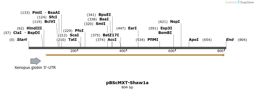 22815_map
