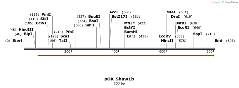 22816_map