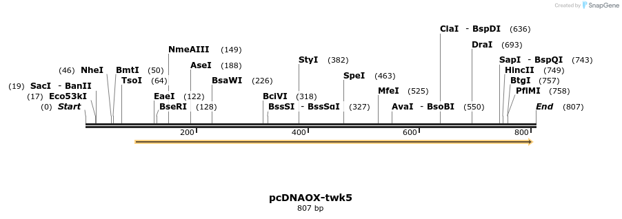 22817_map