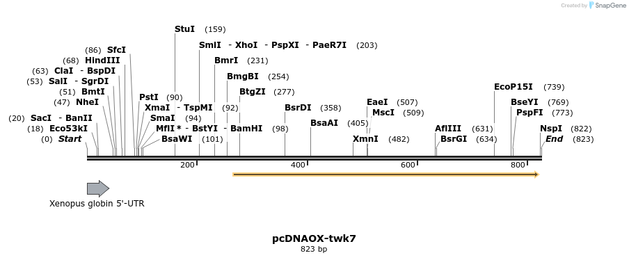 22818_map