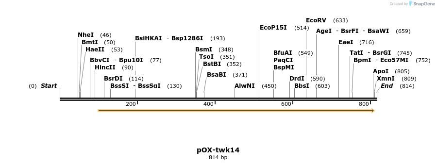22819_map