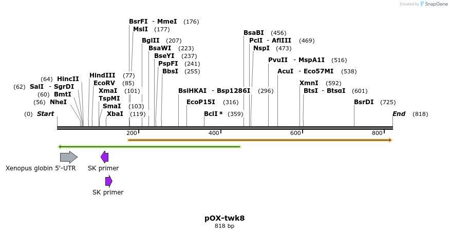 22820_map
