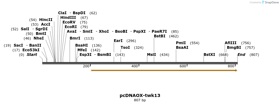 22821_map