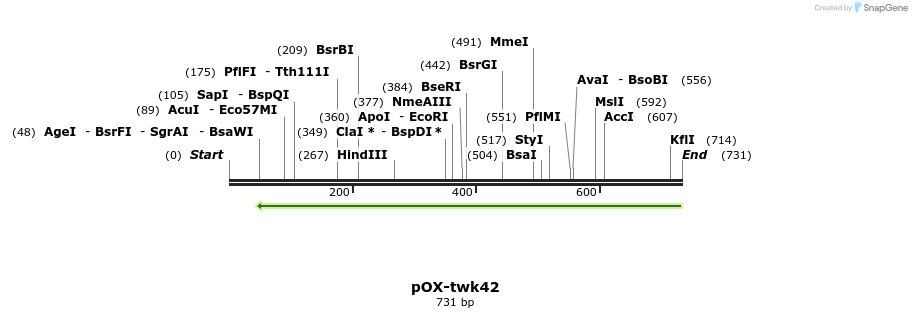 22828_map