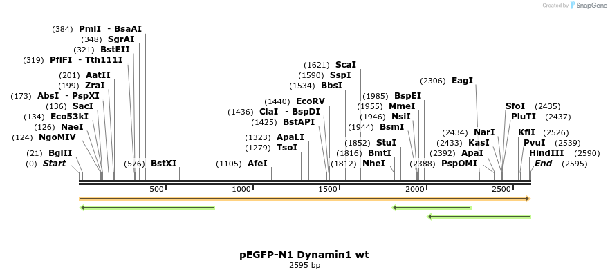228355_map
