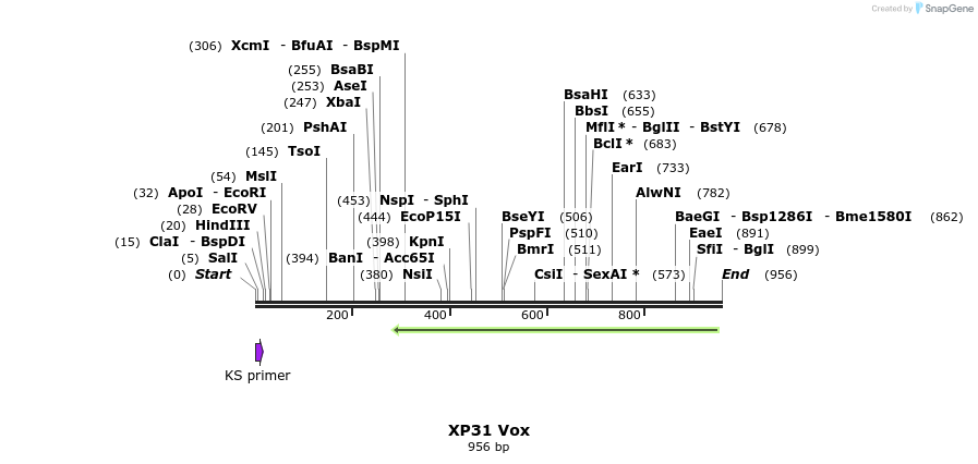 22842_map
