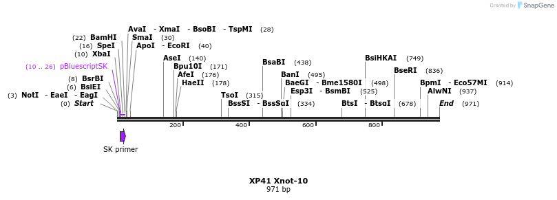 22843_map