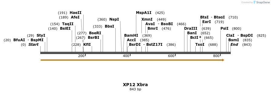 22844_map