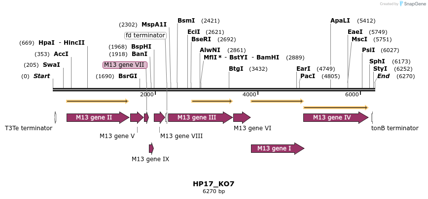 228449_map