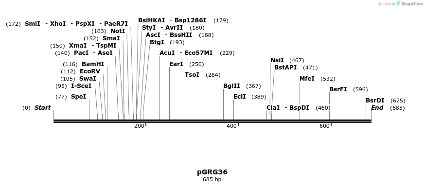 22849_map