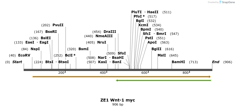 22855_map
