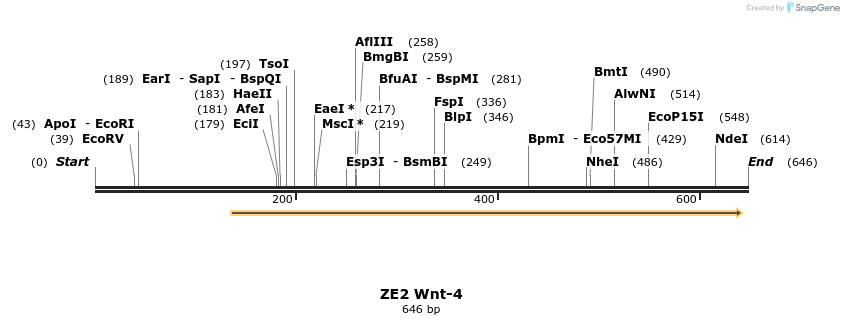 22856_map