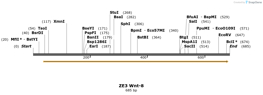 22857_map