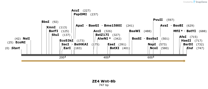 22858_map