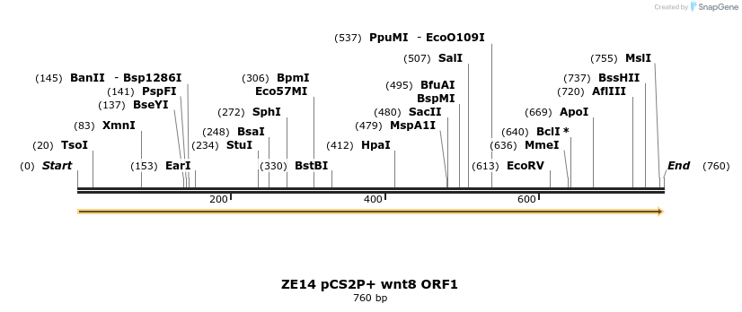 22859_map