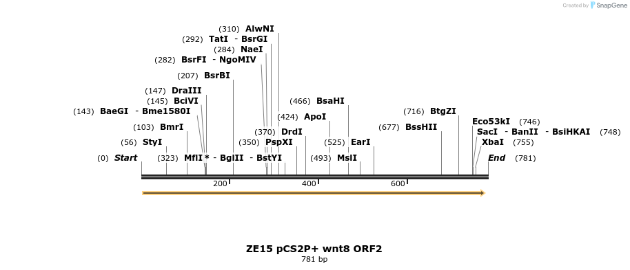 22860_map