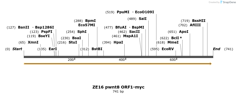 22861_map