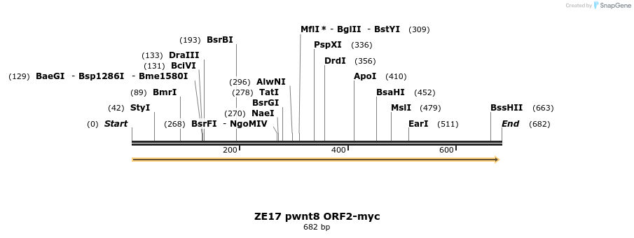 22862_map