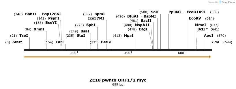 22863_map