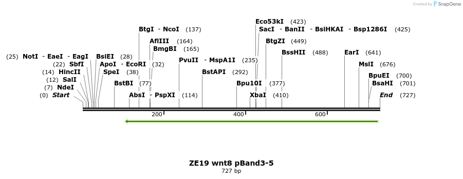 22864_map