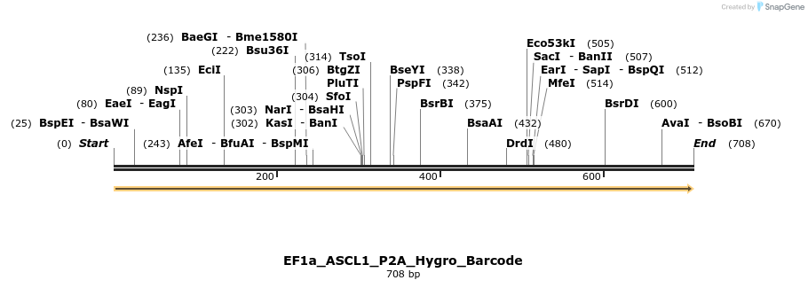 228649_map